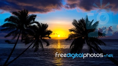 Tropical Beach On Sunset With Silhouette Palm Trees Stock Photo