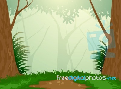 Tropical Evergreen Forest Stock Image