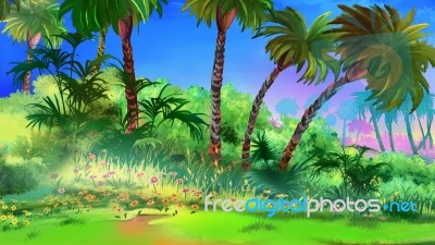 Tropical Garden Stock Image