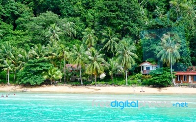 Tropical Landscape With Sea And Forest Background In Thailand Stock Photo