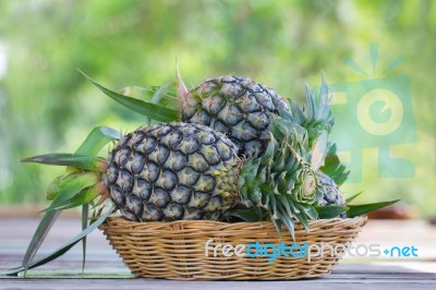 Tropical Pineapple Fruits In The Garden Stock Photo