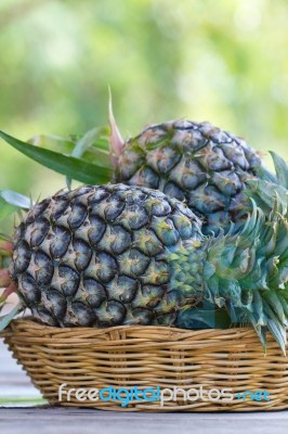 Tropical Pineapple Fruits In The Garden Stock Photo