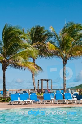 Tropical Swimming Pool Stock Photo