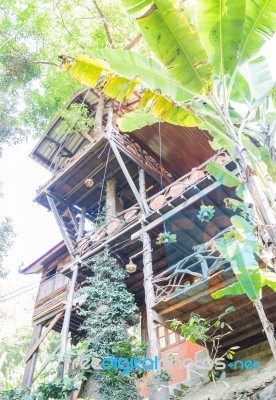 Tropical Wooden Tree House In Resort Stock Photo