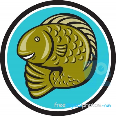 Trout Fish Jumping Circle Cartoon Stock Image