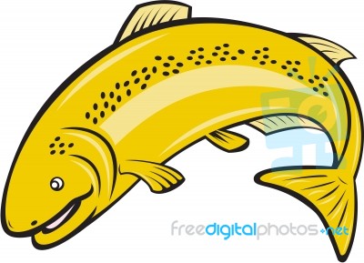 Trout Rainbow Fish Jumping Cartoon Stock Image