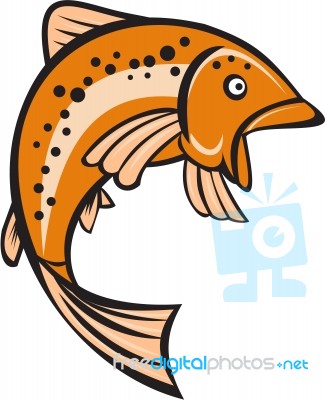 Trout Rainbow Fish Jumping Up Cartoon Stock Image