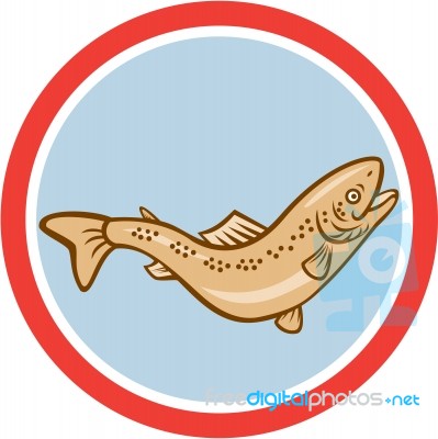 Trout Rainbow Jumping Circle Cartoon Stock Image