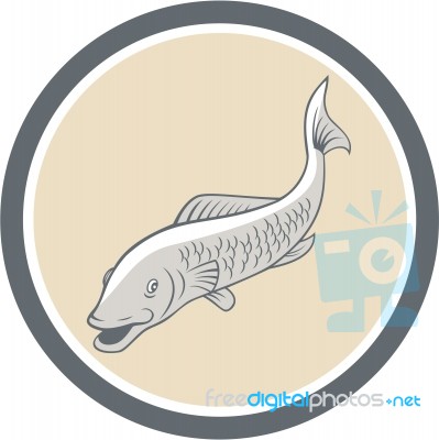 Trout Swimming Cartoon Circle Stock Image