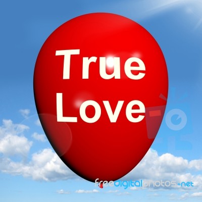 True Love Balloon Represents Lovers And Couples Stock Image