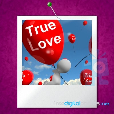 True Love Balloons Photo Represents Couples And Lovers Stock Image