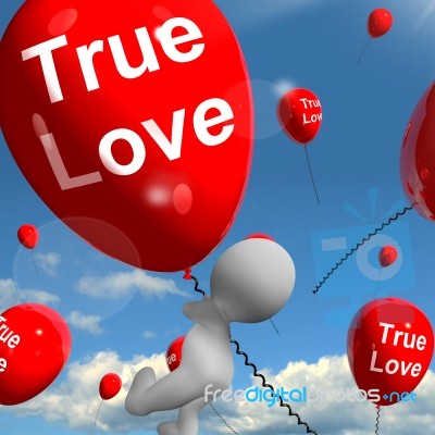 True Love Balloons Represents Couples And Lovers Stock Image