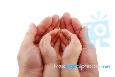 True Love In A Gesture Stock Photo