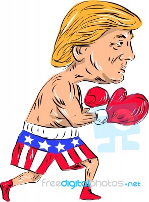 Trump 2016 Election Boxing Stock Image