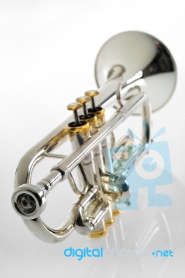 Trumpet Stock Photo