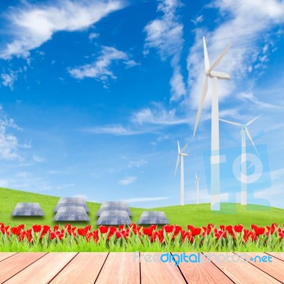 Tulips With Wind Turbine And Solar Panels On Green Grass Field A… Stock Photo