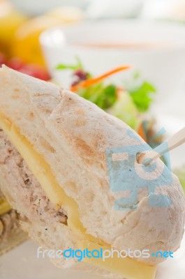 Tuna And Cheese Sandwich With Salad Stock Photo