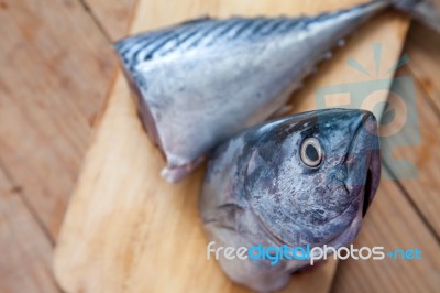 Tuna Fish Stock Photo