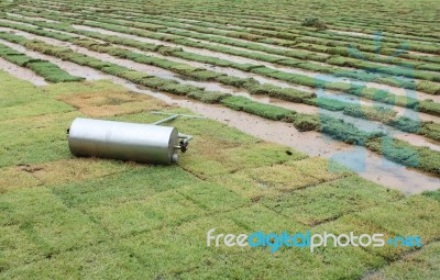 Turf Grass Sheet On Football Field Stock Photo