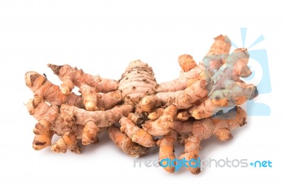 Turmeric Root  On White Background Stock Photo