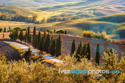 Tuscany Stock Photo