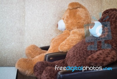 Twin Bears On Black Sofa Stock Photo