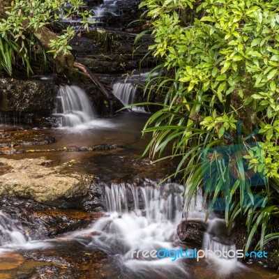 Twin Falls Waterfall Located In Springbrook National Park Stock Photo