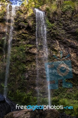 Twin Falls Waterfall Located In Springbrook National Park Stock Photo