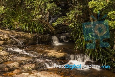 Twin Falls Waterfall Located In Springbrook National Park Stock Photo