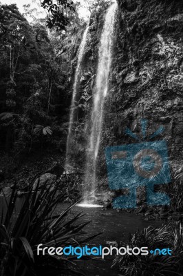 Twin Falls Waterfall Located In Springbrook National Park Stock Photo