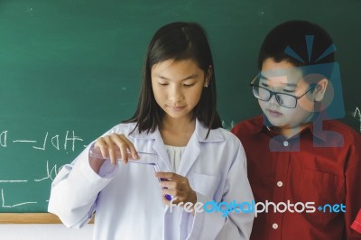 Two Asian Elementary Pupils Students Learning About Basic Science Education Stock Photo