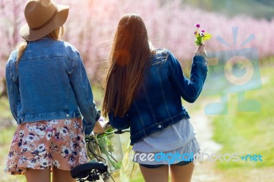 Two Beautiful Young Women With A Vintage Bike In The Field Stock Photo