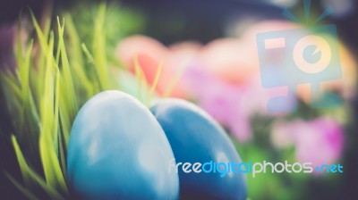 Two Blue Colorful Easter Eggs At The Green Garden On A Plant With Colorful Flowers Happy Easter Stock Photo