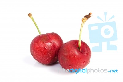 Two Cherries Stock Photo