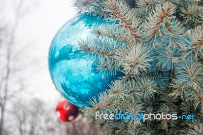 Two Christmas Bals On The Christmas Tree Stock Photo