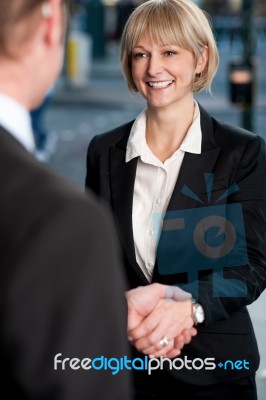 Two Corporate Identities Shaking Hands Stock Photo