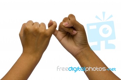 Two Coupled Hands, Isolated On White Background Stock Photo