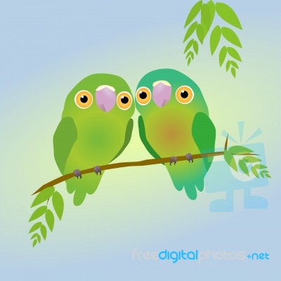 Two Cute Parrots Stock Image