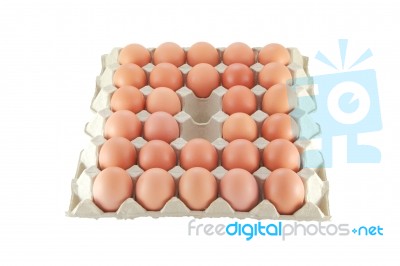 Two Eggs Loss From Collection Stock Photo