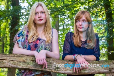 Two Girls Leaning On Wooden Fence In Nature Stock Photo