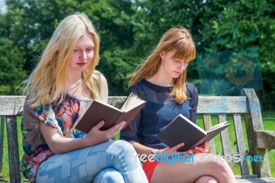 Two Girls Reading Books On Bench In Nature Stock Photo