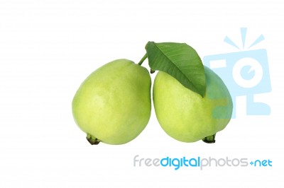 Two Guavas Stock Photo