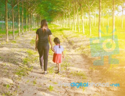 Two Hands Holding Puzzle Mother And Child,the Woman And Child Holding Hands At Sunset Stock Photo