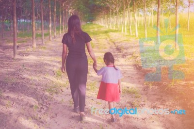 Two Hands Holding Puzzle Mother And Child,the Woman And Child Holding Hands At Sunset Stock Photo