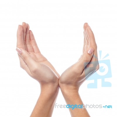 Two Hands Protecting Something Stock Photo