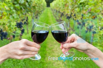 Two Hands Toasting With Wine Glasses In Vineyard Stock Photo