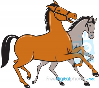 Two Horses Prancing Side Cartoon Stock Image