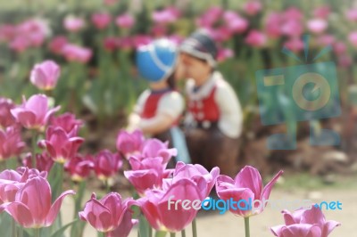 Two Kissing Dolls In Tulip Garden Stock Photo