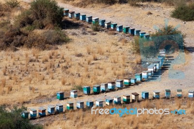 Two Lines Of Beehives In Cyprus Stock Photo