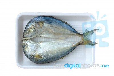 Two Mackerel Stock Photo